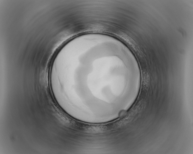 X0000115091078200911101519