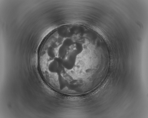 X0000115091079200911101519