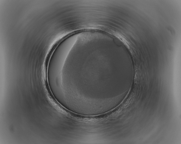 X0000115091080200911101519