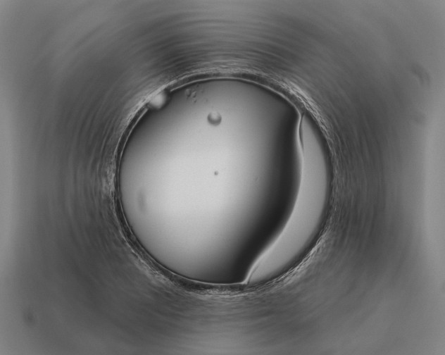 X0000115091081200911101519