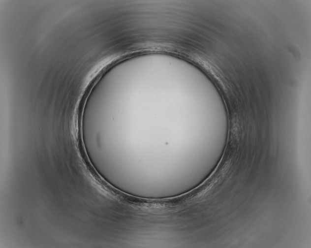 X0000115091082200911101519