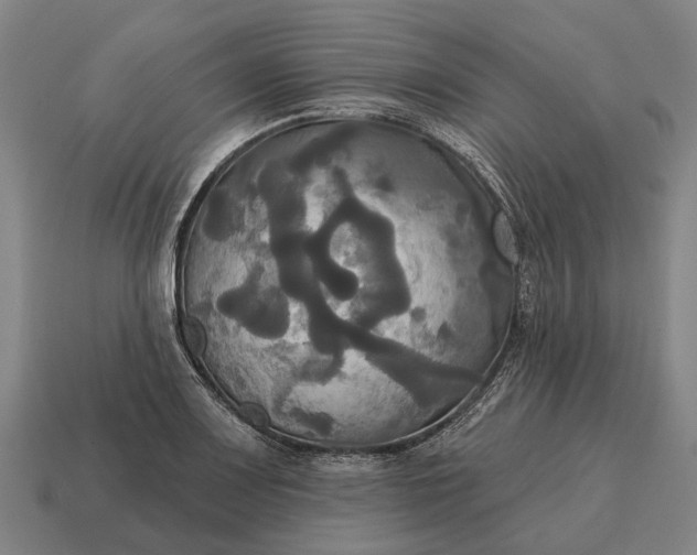 X0000115091083200911101519