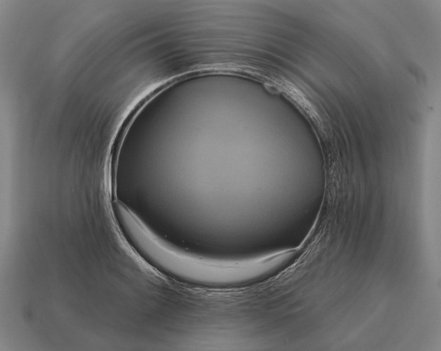 X0000115091084200911101519