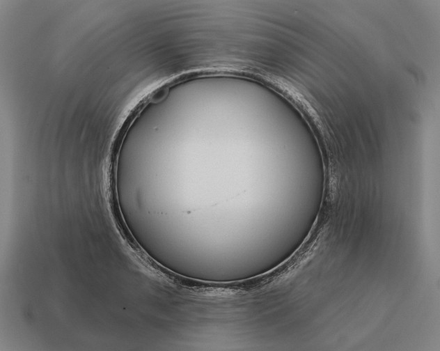 X0000115091085200911101519