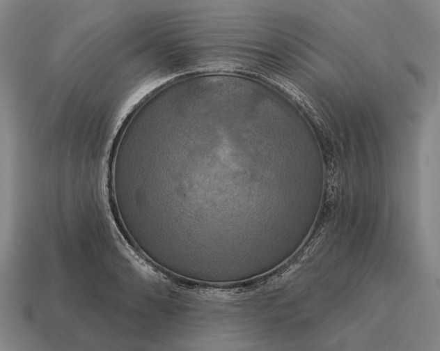 X0000115091086200911101519