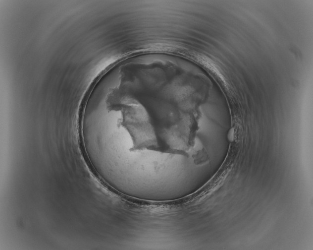 X0000115091087200911101519