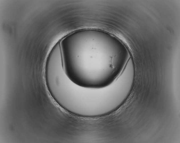 X0000115091088200911101519