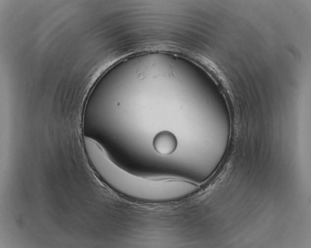 X0000115091089200911101519