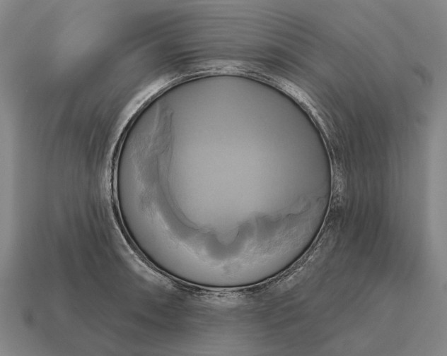X0000115091090200911101519