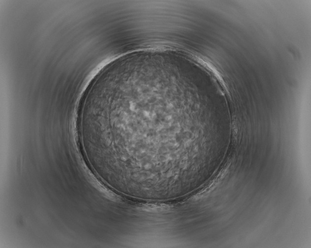 X0000115091091200911101519