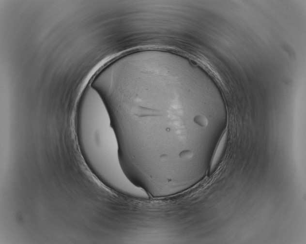 X0000115091092200911101519