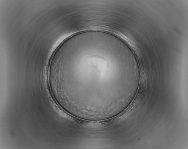 X0000115091094200911101519