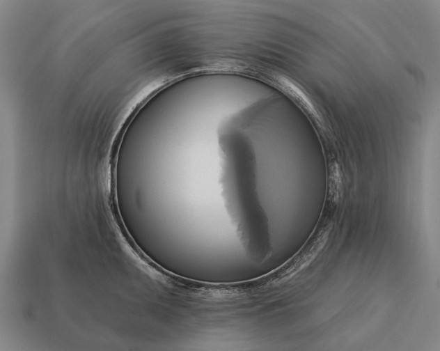 X0000115091095200911101519