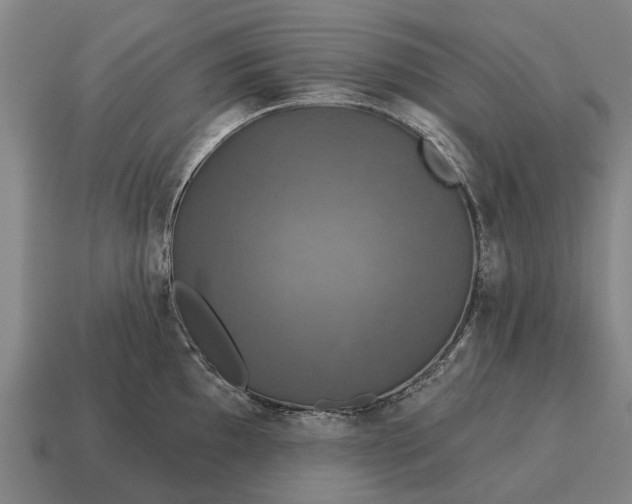 X0000115091097200911101519