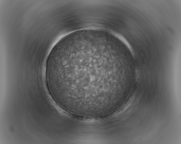 X0000115091099200911101519