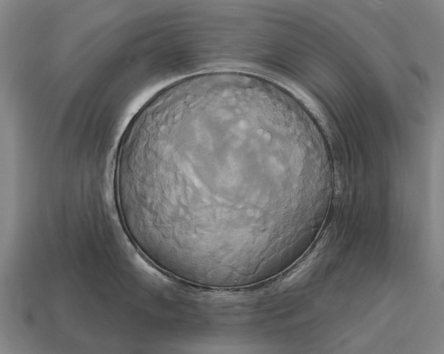 X0000115091102200911101518