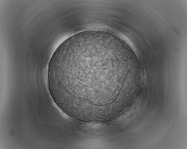 X0000115091103200911101518