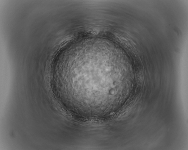 X0000115091105200911101518