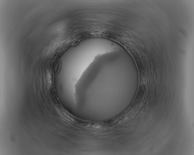 X0000115091106200911101518