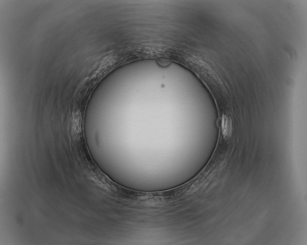X0000115091107200911101518