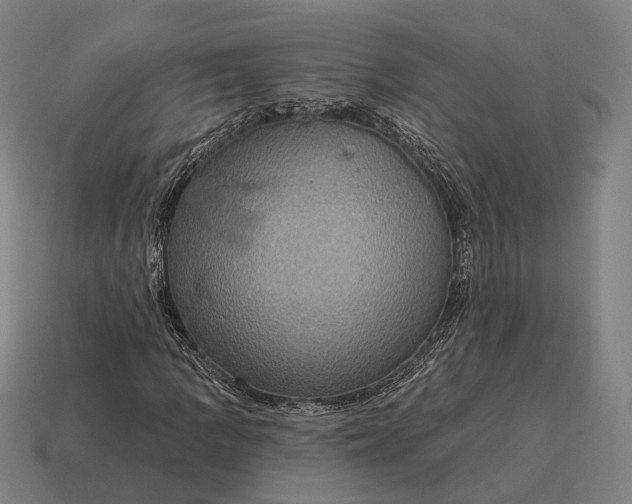 X0000115091109200911101518