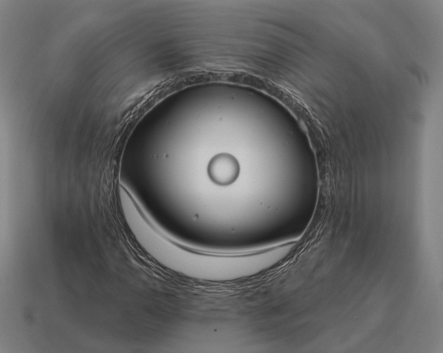 X0000115091110200911101518
