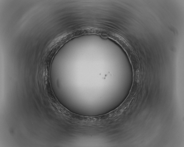 X0000115091111200911101518