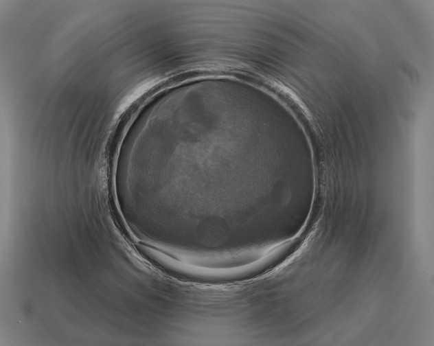 X0000115091114200911101518