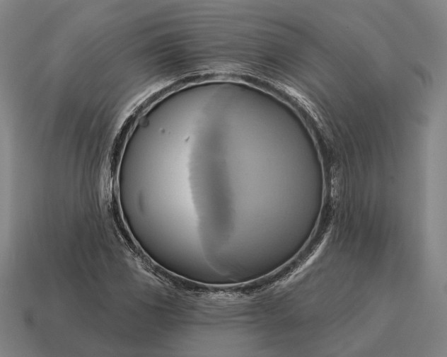 X0000115091117200911101518