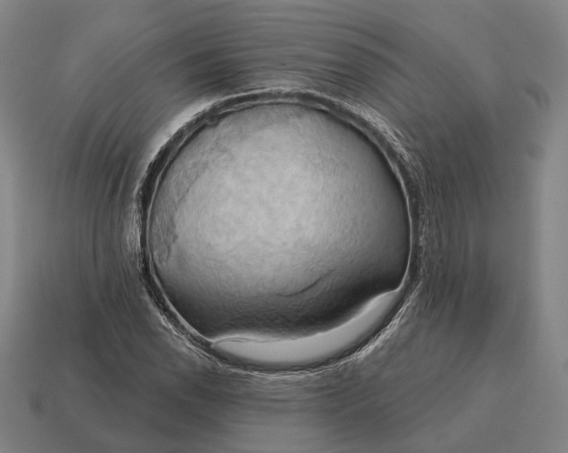 X0000115091118200911101518