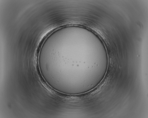 X0000115091119200911101518