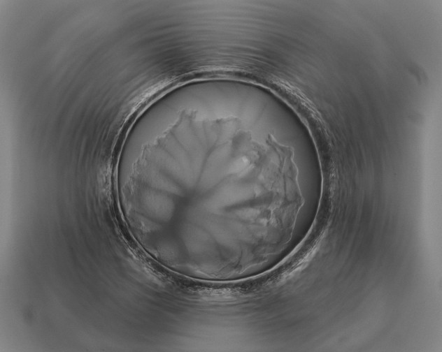 X0000115091121200911101518