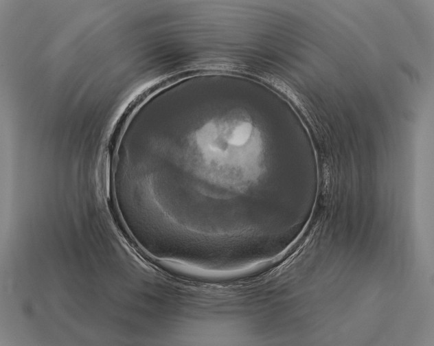X0000115091123200911101518
