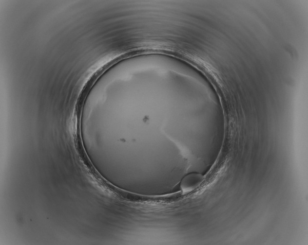 X0000115091125200911101518
