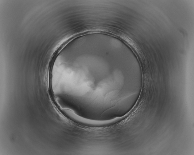 X0000115091127200911101518