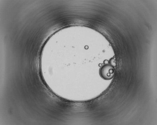 X0000115091130200911101518