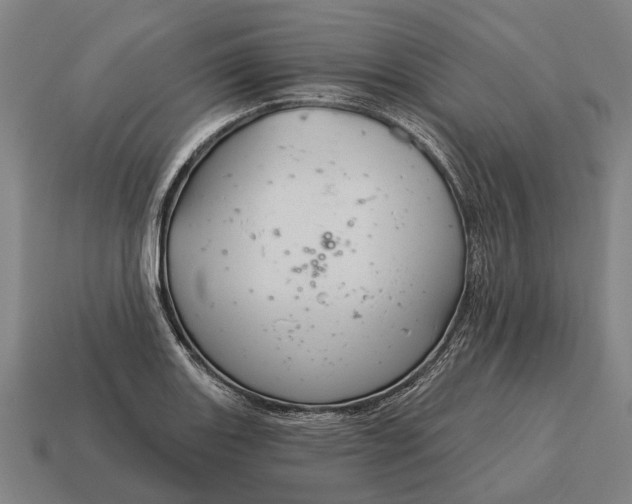 X0000115091131200911101518