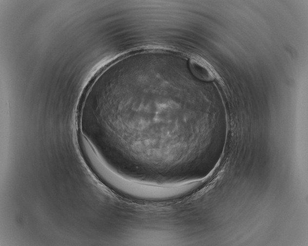 X0000115091133200911101518