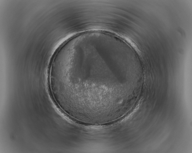 X0000115091134200911101518