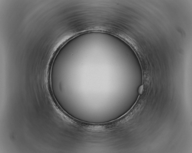 X0000115091135200911101518