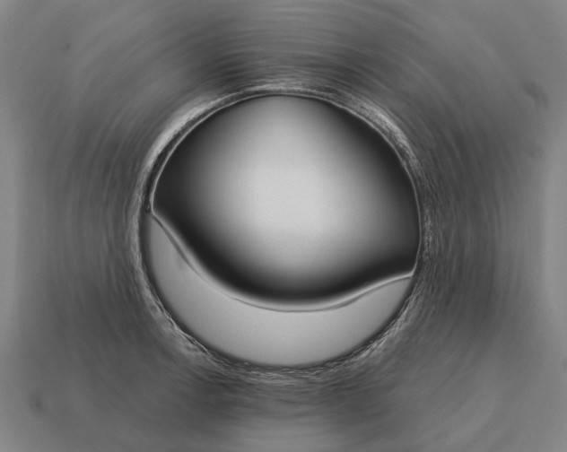 X0000115091138200911101518