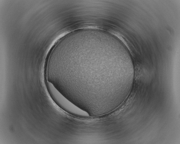 X0000115091139200911101518