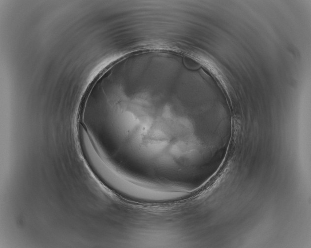 X0000115091141200911101518
