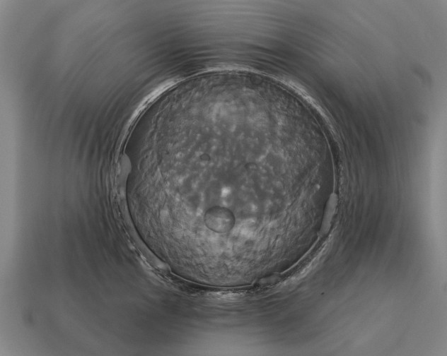 X0000115091145200911101518