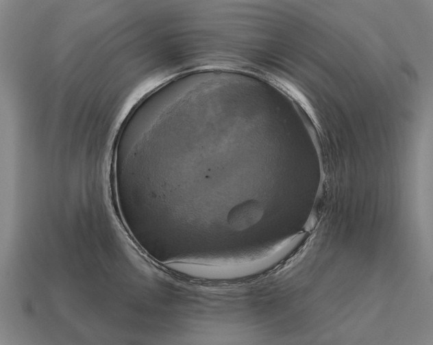 X0000115091146200911101518