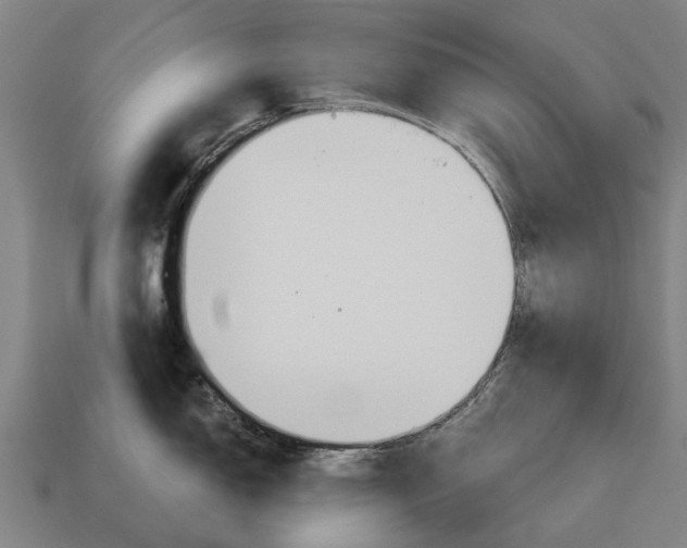 X0000115091150200911101518