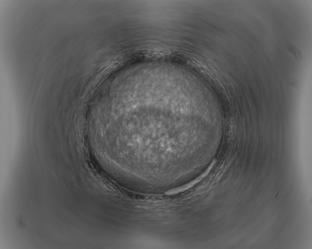 X0000115091153200911101518