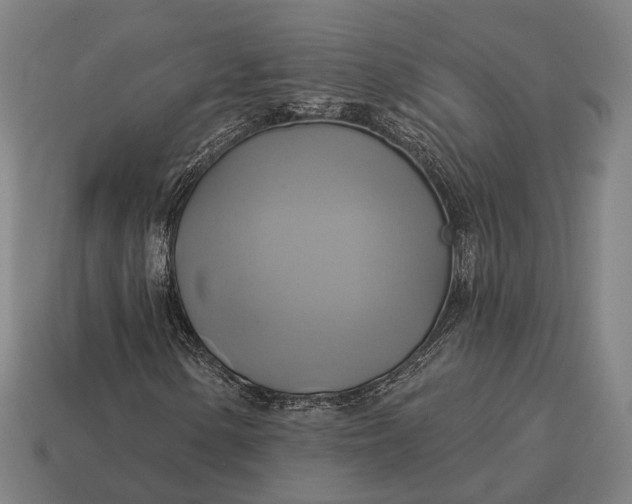 X0000115091154200911101518