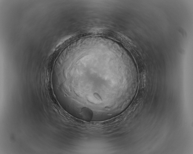 X0000115091158200911101518
