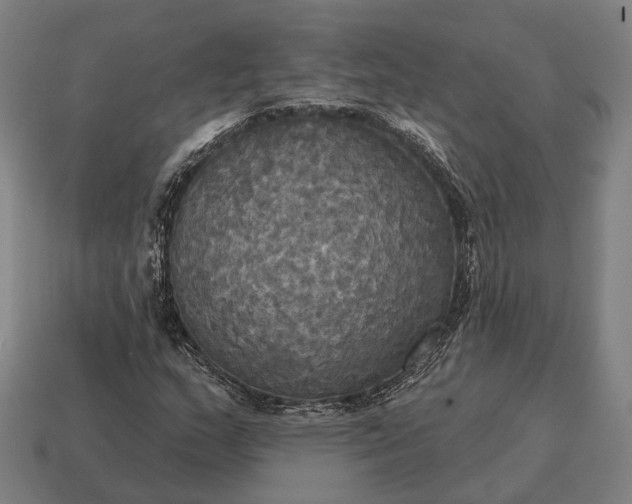 X0000115091159200911101518